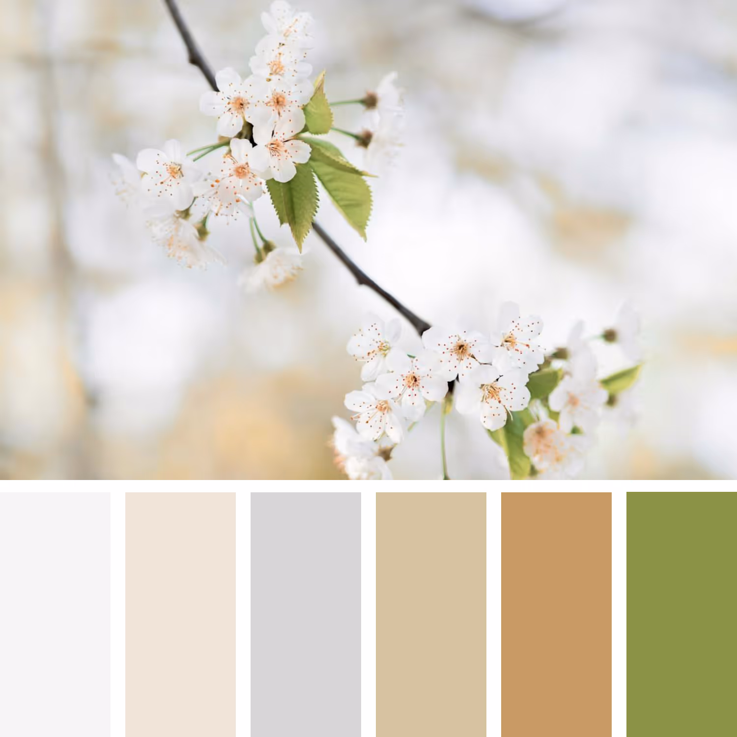 A sample colour palette based on branches of white blossom.