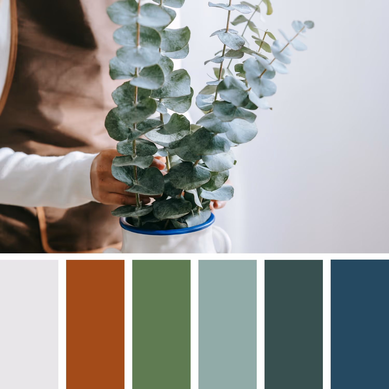 A sample colour palette based on eucalyptus stems in a white ceramic vase.
