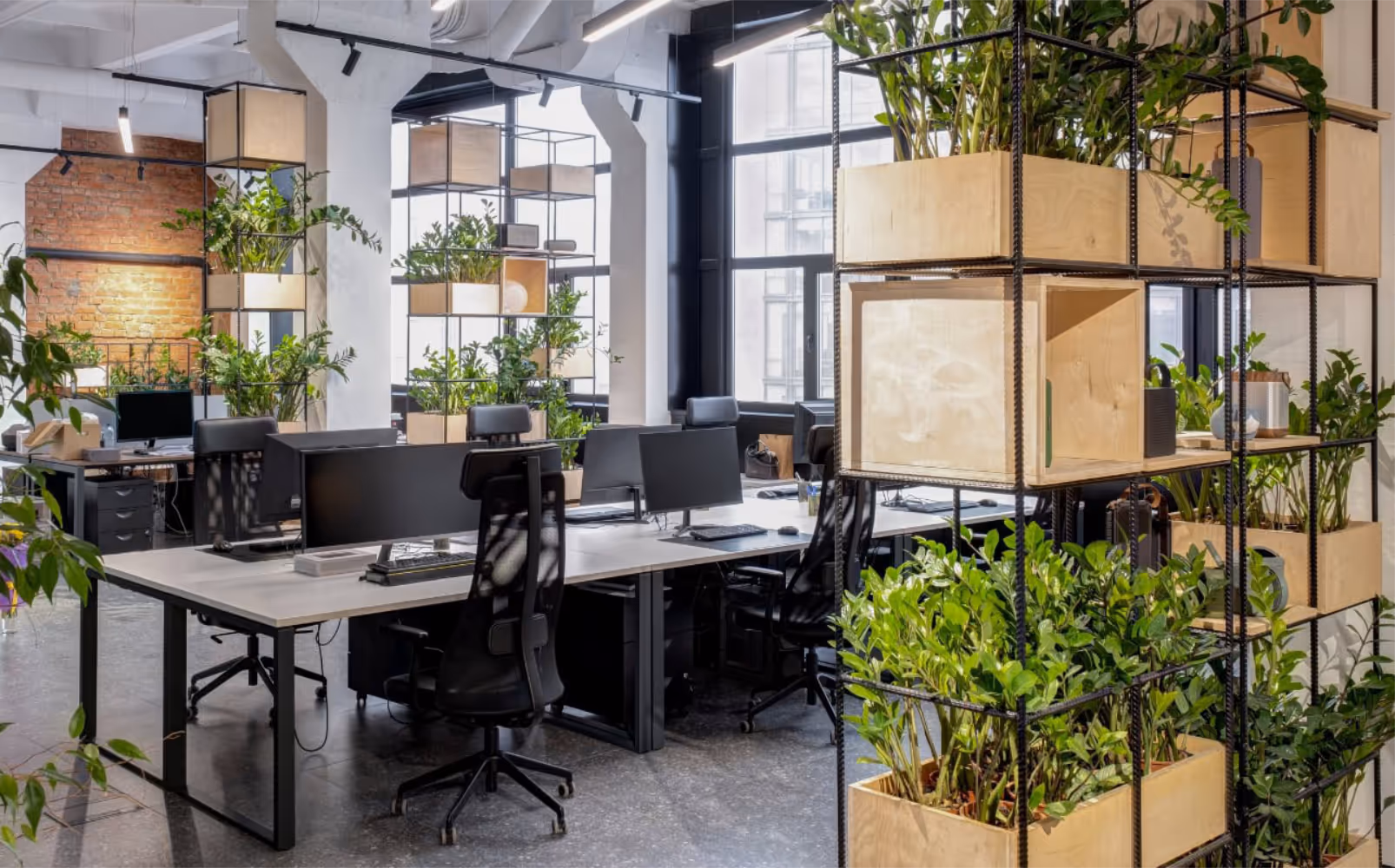 A biophilic designed modern office interior.