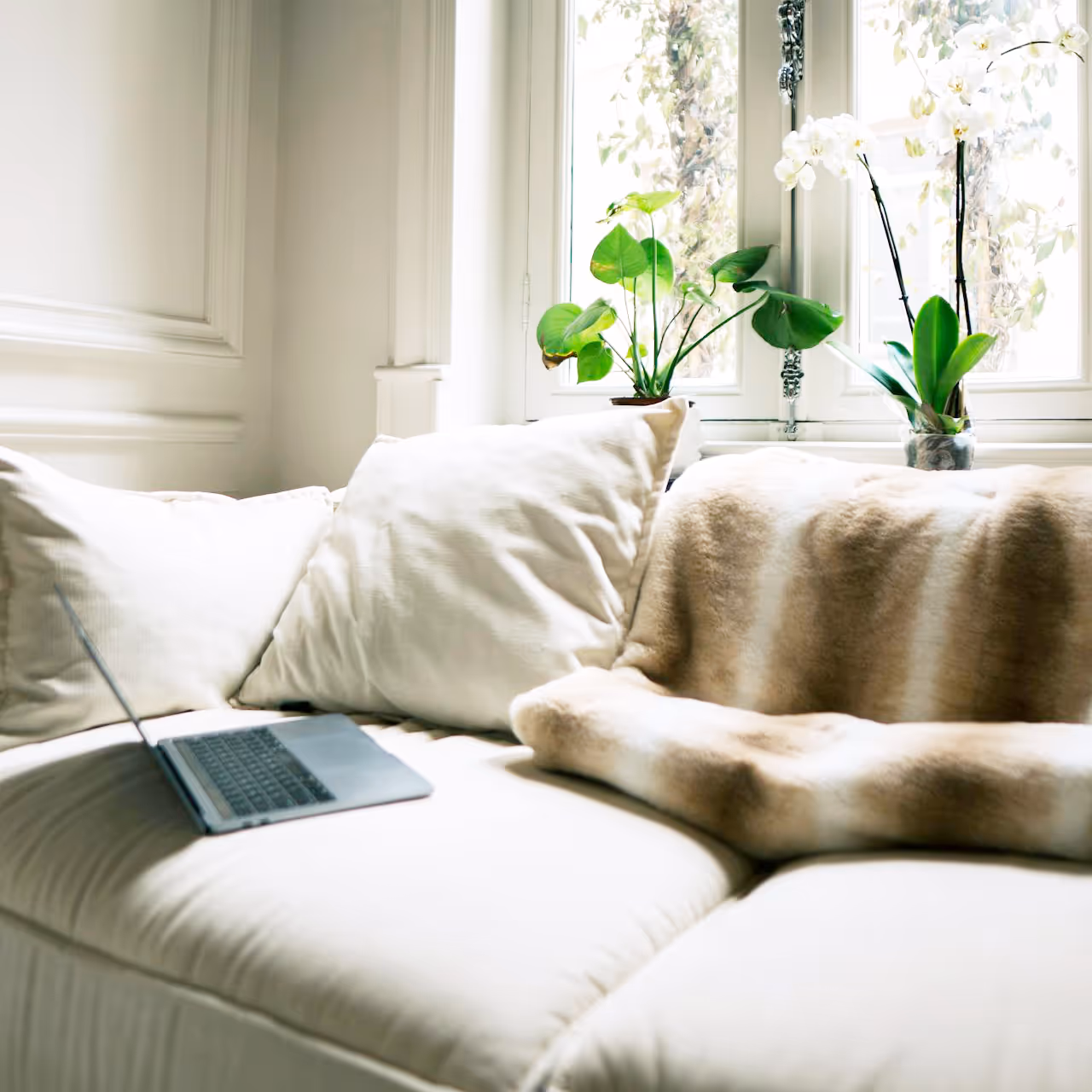 A faux fur throw draped over a comfy natural sofa and potted plants on the windowsill behind.