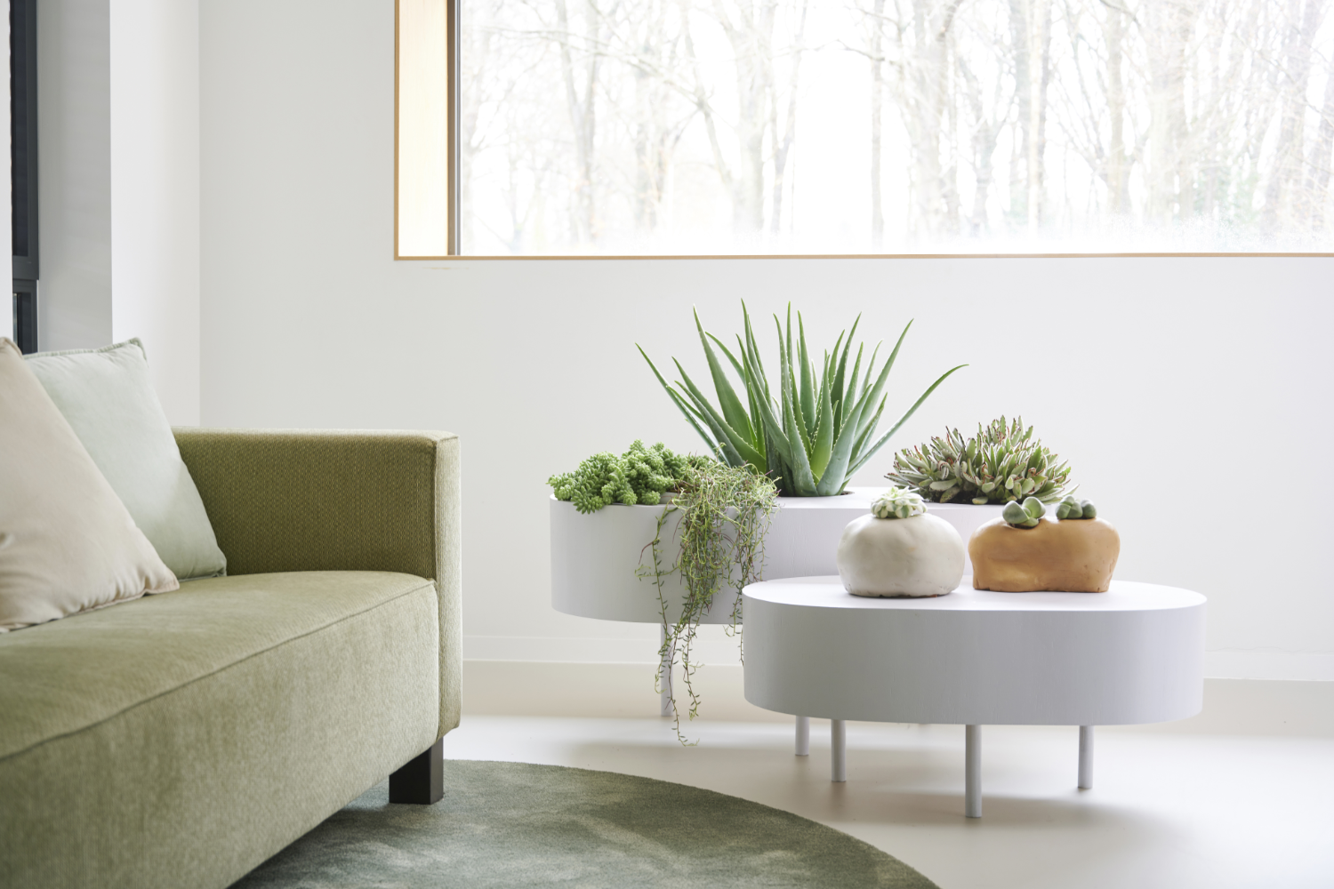 A modern white room with a green sofa and white circular low tables with lots of potted plants.